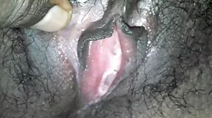 බීච් බියුටි බිග් බොබ් පදින්න