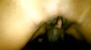 MyFamilyPies: මම අහම්බෙන් මගේ Stepsis, Sybil A Dick Pic on PornHD යවා ඇත