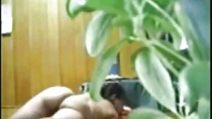 LifeSelector: සරාගී මුඩුක්කු PornHD හි ඔබ සහ ඇලෙක්සා සමඟ තුන් මගට පුසී මගුලක් ඉල්ලයි