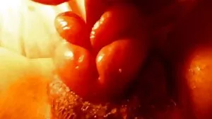 ඩික් වලට ඇබ්බැහි වූ සමන්ත නහර සහිත කළු පිඹුරෙකු උත්සාහ කරයි
